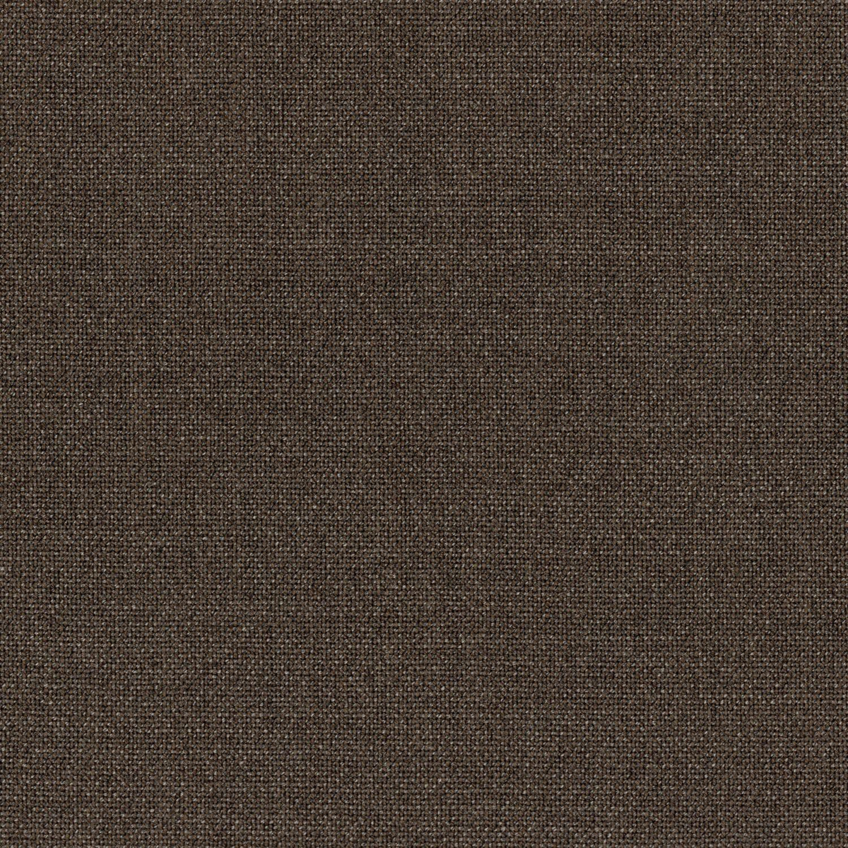 Drapers Ascot [256764] LIGHT BROWN, PLAIN (6 PLY)