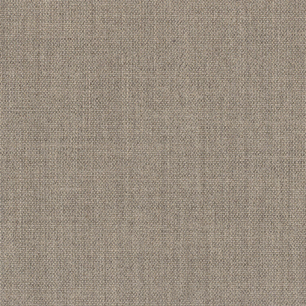 Drapers Ascot [256763] TAN, PLAIN (6 PLY)